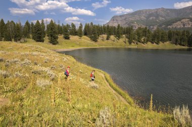 Wyoming Yellowstone Milli Parkı Lamar Vadisi'nde Alabalık Gölü'nde manzara ve ağaçlar 