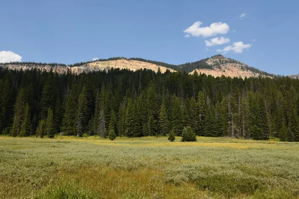 Wyoming Yellowstone Milli Parkı Lamar Vadisi Nde Alabalık Gölü Nde — Stok fotoğraf