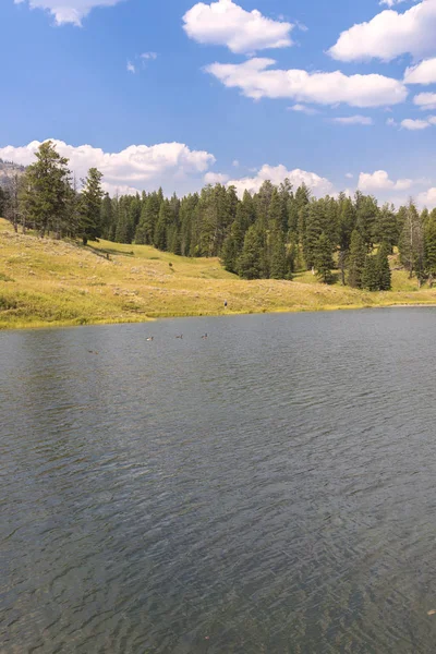 Wyoming Yellowstone Milli Parkı Lamar Vadisi Nde Alabalık Gölü Nde — Stok fotoğraf