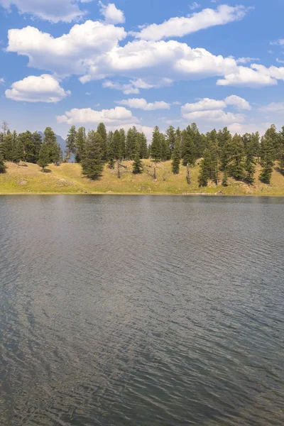 Paisaje Árboles Lago Trucha Valle Lamar Parque Nacional Yellowstone Wyoming — Foto de Stock