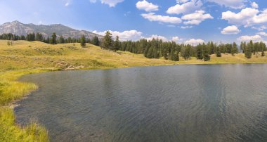 Wyoming Yellowstone Milli Parkı Lamar Vadisi'nde Alabalık Gölü'nde manzara ve ağaçlar 