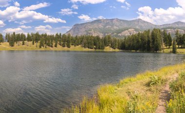 Wyoming Yellowstone Milli Parkı Lamar Vadisi'nde Alabalık Gölü'nde manzara ve ağaçlar 