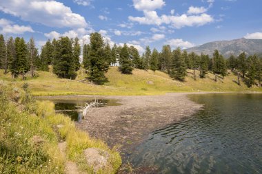 Wyoming Yellowstone Milli Parkı Lamar Vadisi'nde Alabalık Gölü'nde manzara ve ağaçlar 