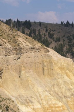 Wyoming Yellowstone Milli Parkı Lamar Vadisi'nde Tower Fall peyzaj ve ağaçlar 