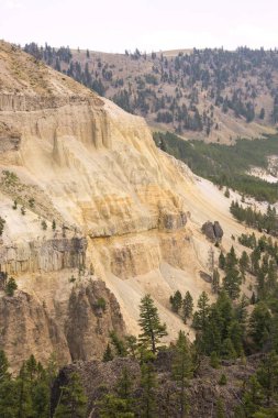 Wyoming Yellowstone Milli Parkı Lamar Vadisi'nde Tower Fall peyzaj ve ağaçlar 