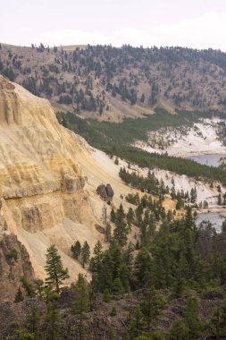 Wyoming Yellowstone Milli Parkı Lamar Vadisi'nde Tower Fall peyzaj ve ağaçlar 