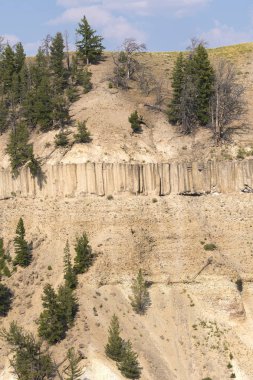 Wyoming Yellowstone Milli Parkı Lamar Vadisi'nde Tower Fall peyzaj ve ağaçlar 