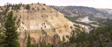 Wyoming Yellowstone Milli Parkı Lamar Vadisi'nde Tower Fall peyzaj ve ağaçlar 