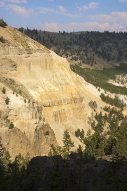 Wyoming Yellowstone Milli Parkı Lamar Vadisi'nde Tower Fall peyzaj ve ağaçlar 