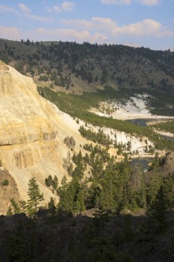 Wyoming Yellowstone Milli Parkı Lamar Vadisi'nde Tower Fall peyzaj ve ağaçlar 