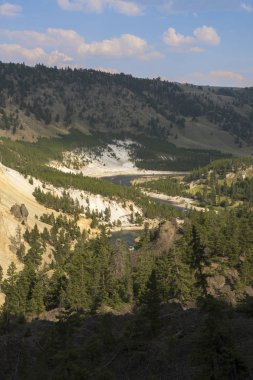 Wyoming Yellowstone Milli Parkı Lamar Vadisi'nde Tower Fall peyzaj ve ağaçlar 