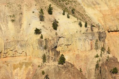 Wyoming Yellowstone Milli Parkı Lamar Vadisi'nde Tower Fall peyzaj ve ağaçlar 
