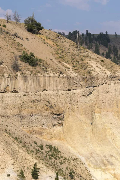 Landskap Och Träd Tower Fall Lamar Valley Yellowstone National Park — Stockfoto