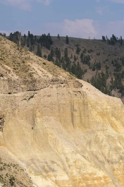Paisaje Árboles Tower Fall Lamar Valley Parque Nacional Yellowstone Wyoming — Foto de Stock