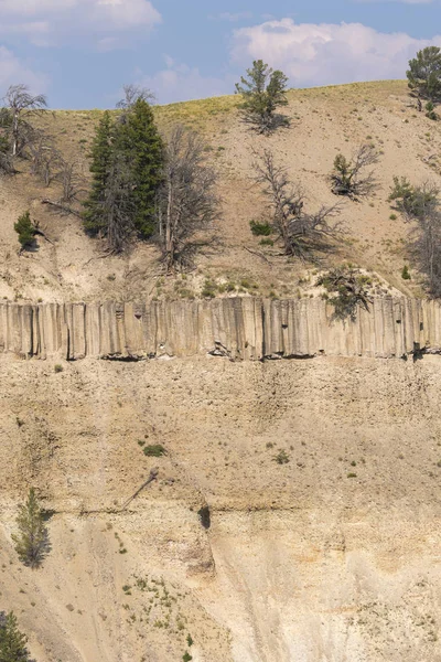 และต นไม Tower Fall Lamar Valley ในอ ทยานแห งชาต Yellowstone — ภาพถ่ายสต็อก