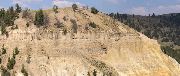 Landschap Bomen Bij Tower Fall Lamar Valley Yellowstone National Park — Stockfoto