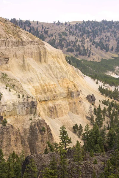 Landskap Och Träd Tower Fall Lamar Valley Yellowstone National Park — Stockfoto