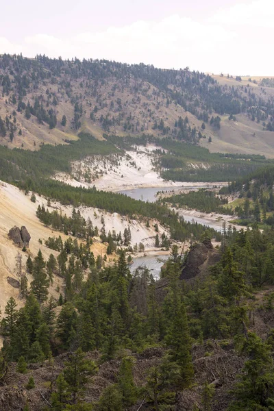Landskap Och Träd Tower Fall Lamar Valley Yellowstone National Park — Stockfoto