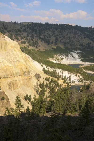 Landschap Bomen Bij Tower Fall Lamar Valley Yellowstone National Park — Stockfoto