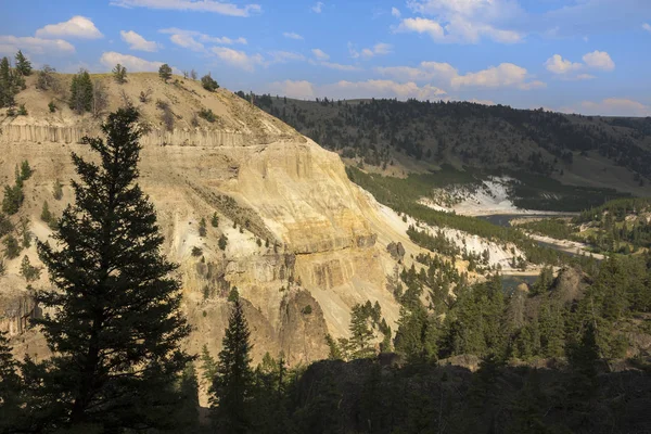 Paisaje Árboles Tower Fall Lamar Valley Parque Nacional Yellowstone Wyoming — Foto de Stock