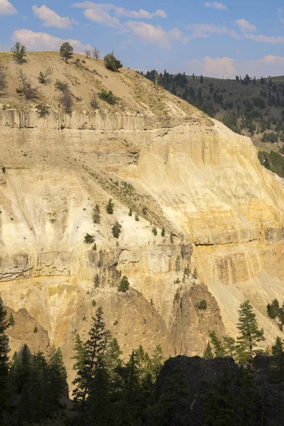 Landschap Bomen Bij Tower Fall Lamar Valley Yellowstone National Park — Stockfoto