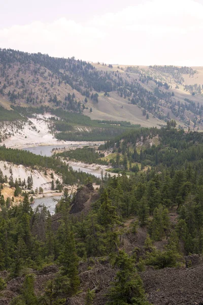 Landschaft Und Bäume Beim Turmsturz Lamar Valley Yellowstone Nationalpark Wyoming — Stockfoto