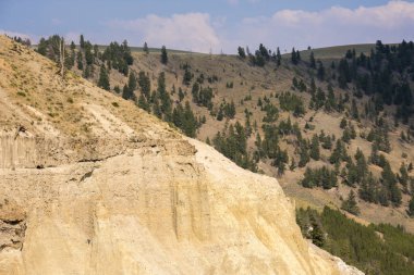 Wyoming Yellowstone Milli Parkı Lamar Vadisi'nde Tower Fall peyzaj ve ağaçlar 