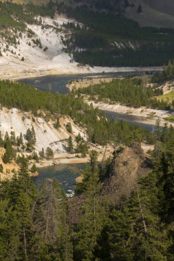 Wyoming Yellowstone Milli Parkı Lamar Vadisi'nde Tower Fall peyzaj ve ağaçlar 
