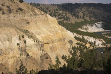 Wyoming Yellowstone Milli Parkı Lamar Vadisi'nde Tower Fall peyzaj ve ağaçlar 