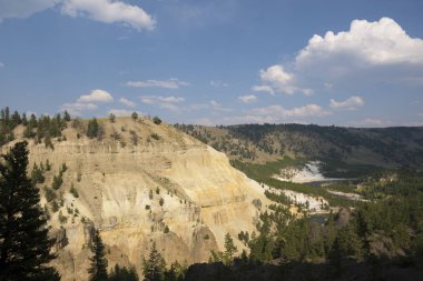 Wyoming Yellowstone Milli Parkı Lamar Vadisi'nde Tower Fall peyzaj ve ağaçlar 
