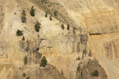 Wyoming Yellowstone Milli Parkı Lamar Vadisi'nde Tower Fall peyzaj ve ağaçlar 