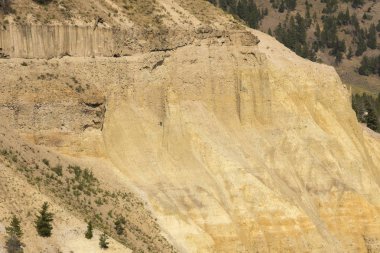 Wyoming Yellowstone Milli Parkı Lamar Vadisi'nde Tower Fall peyzaj ve ağaçlar 