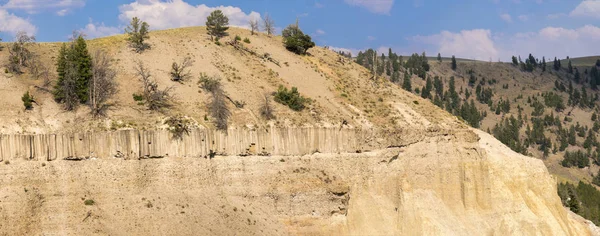 Landscape Trees Tower Fall Lamar Valley Yellowstone National Park Wyoming — Stock Photo, Image