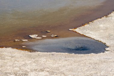 Wyoming Yellowstone Milli Parkı Bisküvi Havzası'nda Gayzer
