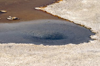 Wyoming Yellowstone Milli Parkı Bisküvi Havzası'nda Gayzer