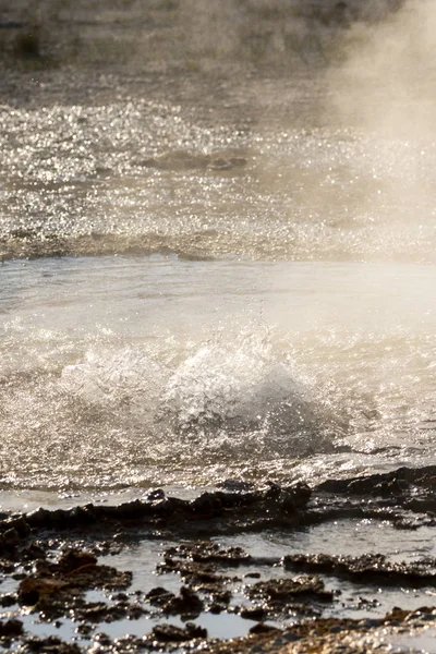 Geyser Dans Bassin Biscuit Dans Parc National Yellowstone Dans Wyoming — Photo