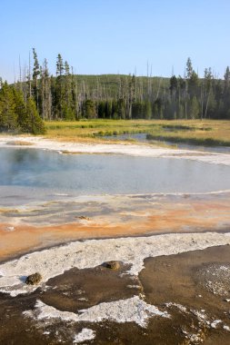 Wyoming Yellowstone Milli Parkı Bisküvi Havzası'nda Gayzer