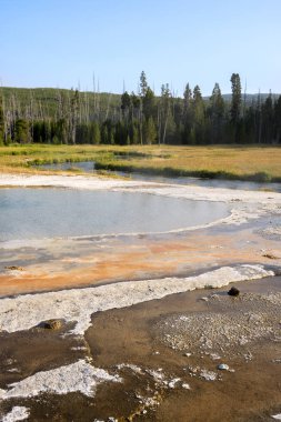 Wyoming Yellowstone Milli Parkı Bisküvi Havzası'nda Gayzer