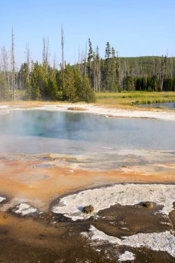 Wyoming Yellowstone Milli Parkı Bisküvi Havzası'nda Gayzer