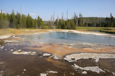 Wyoming Yellowstone Milli Parkı Bisküvi Havzası'nda Gayzer