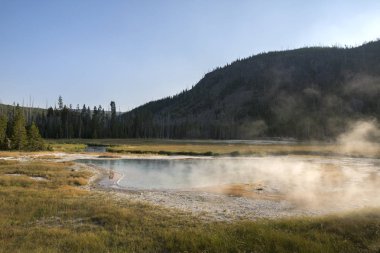 Wyoming Yellowstone Milli Parkı Bisküvi Havzası'nda Gayzer