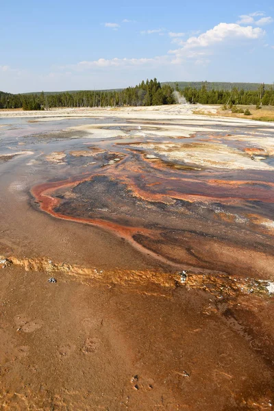 Géiser Biscuit Basin Parque Nacional Yellowstone Wyoming — Foto de Stock