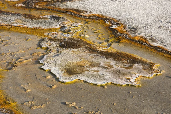 Wyoming Yellowstone Milli Parkı Bisküvi Havzası'nda Gayzer