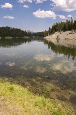 Wyoming 'deki Yellowstone Ulusal Parkı' ndaki çayır ve nehirleri gözden geçir