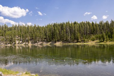 Wyoming 'deki Yellowstone Ulusal Parkı' ndaki çayır ve nehirleri gözden geçir