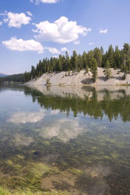 Wyoming 'deki Yellowstone Ulusal Parkı' ndaki çayır ve nehirleri gözden geçir