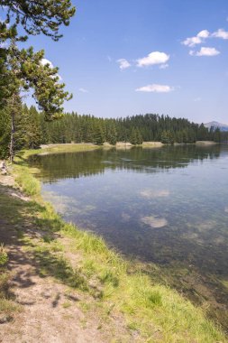 Wyoming 'deki Yellowstone Ulusal Parkı' ndaki çayır ve nehirleri gözden geçir