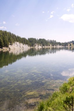 Wyoming 'deki Yellowstone Ulusal Parkı' ndaki çayır ve nehirleri gözden geçir