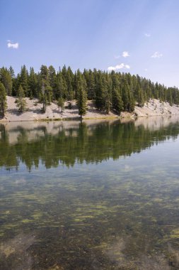 Wyoming 'deki Yellowstone Ulusal Parkı' ndaki çayır ve nehirleri gözden geçir