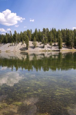 Wyoming 'deki Yellowstone Ulusal Parkı' ndaki çayır ve nehirleri gözden geçir
